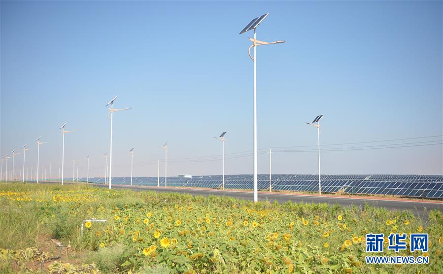 （寧夏60年）（10）寧夏中衛(wèi)：科學治沙顯成效