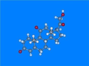 腦內(nèi)雌激素生成酶的表達量與性格氣質(zhì)密切相關(guān)