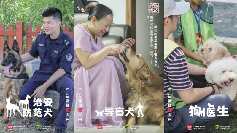 寵TA丨警犬、導(dǎo)盲犬……今天，他們值得被關(guān)注