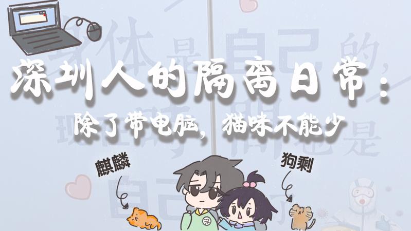 寵TA丨深圳人的隔離日常：除了帶電腦，貓咪不能少